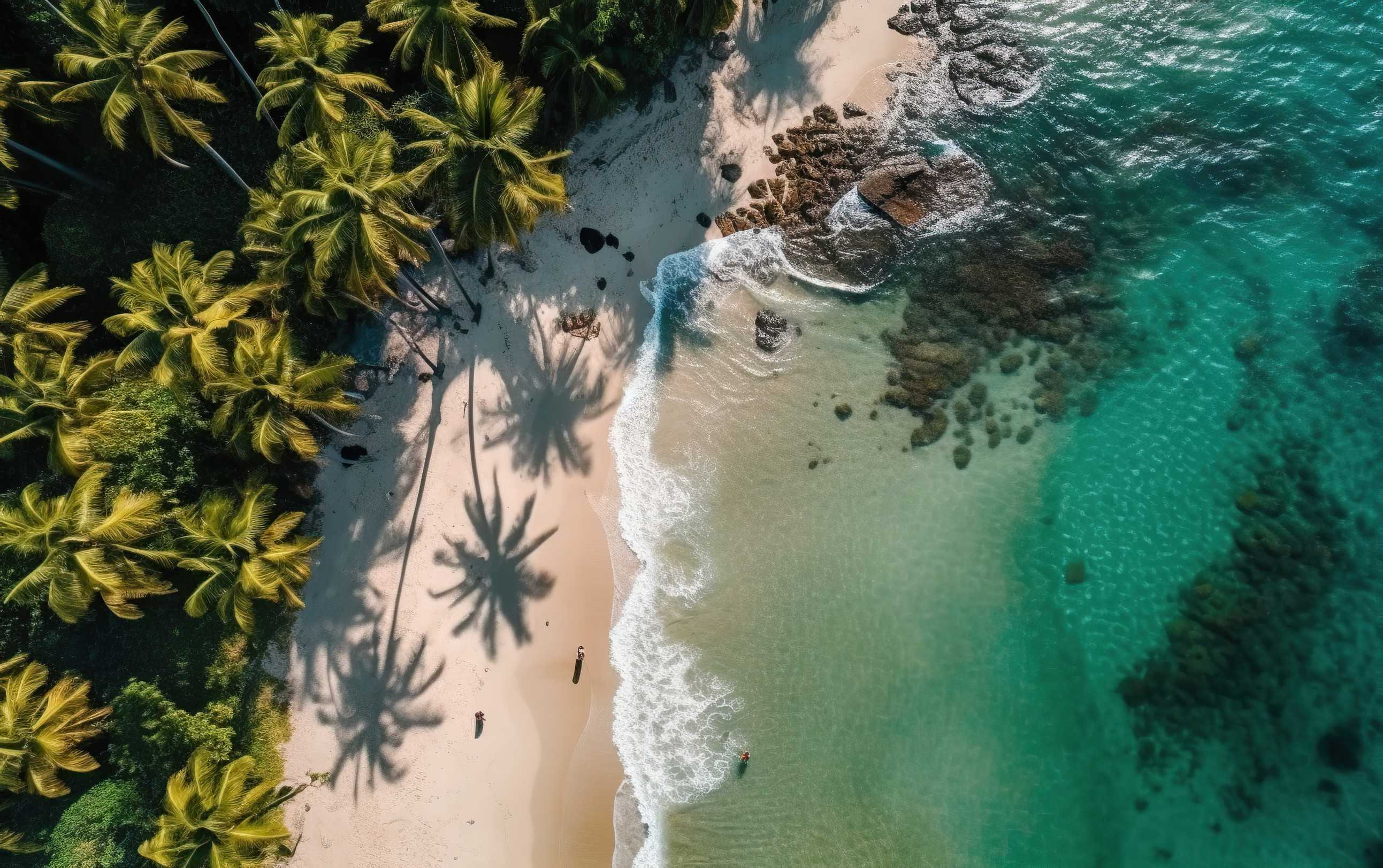 Aerial View Of Beautiful Tropical Beach With Palm Trees Drone Photography